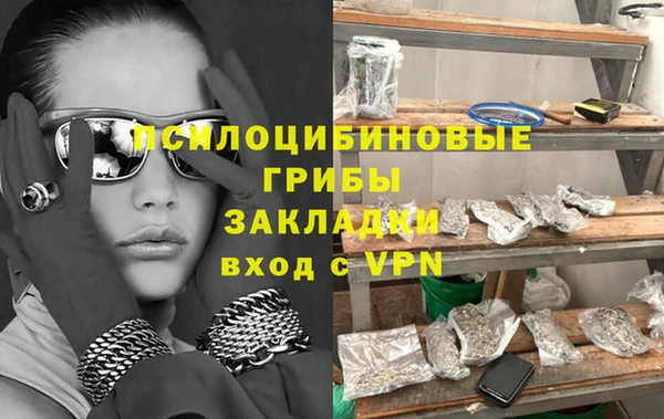 mdpv Каменногорск
