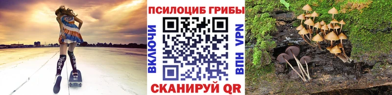 Купить  Гусь-Хрустальный  Псилоцибиновые грибы ЛСД 